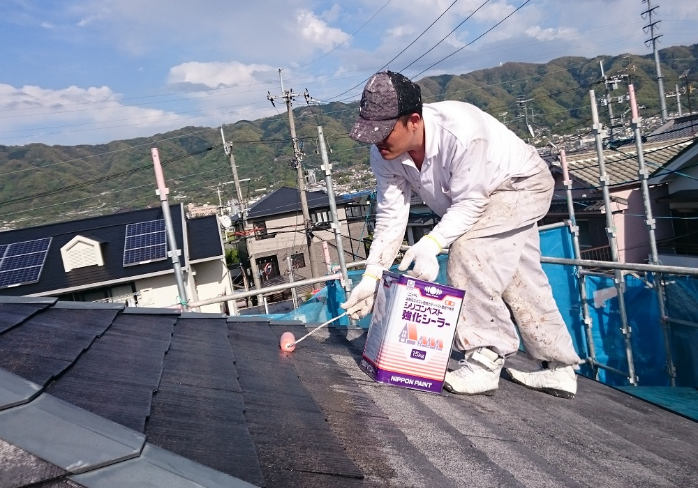 カラーベスト洗浄