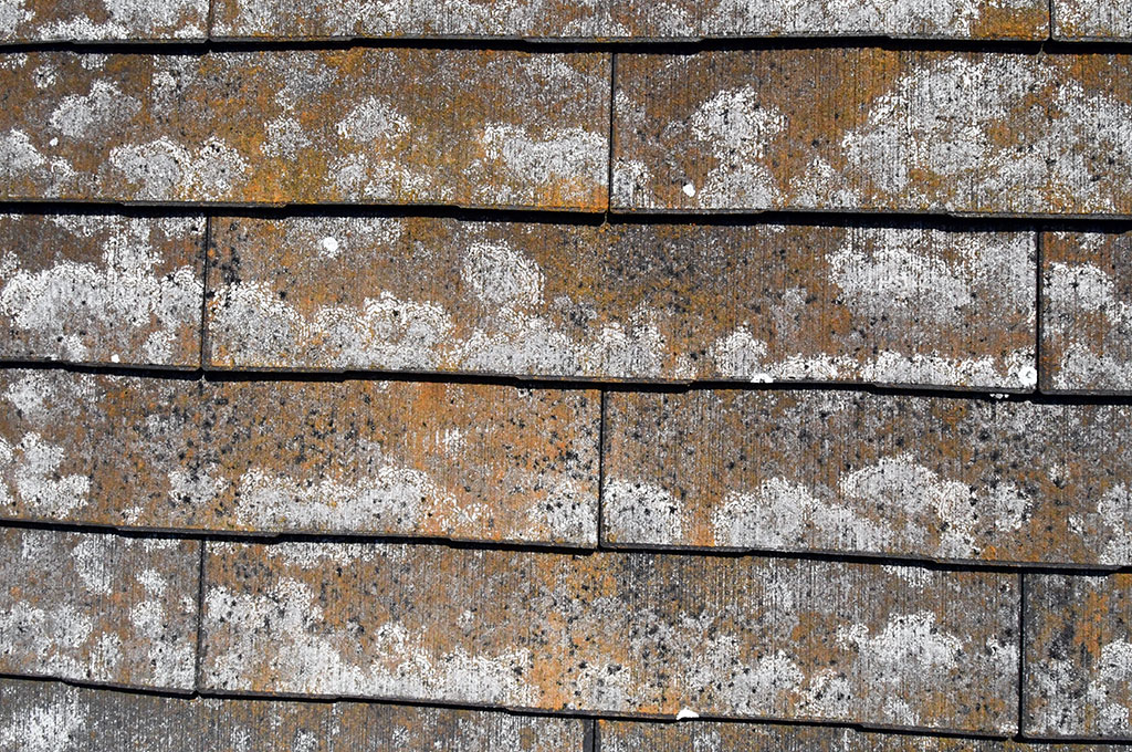 カラーベスト屋根の北面のコケ、カビの生えた状態の写真